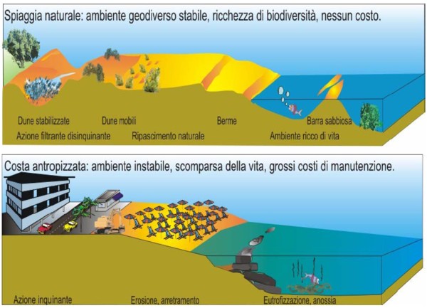 Spiagge a confronto